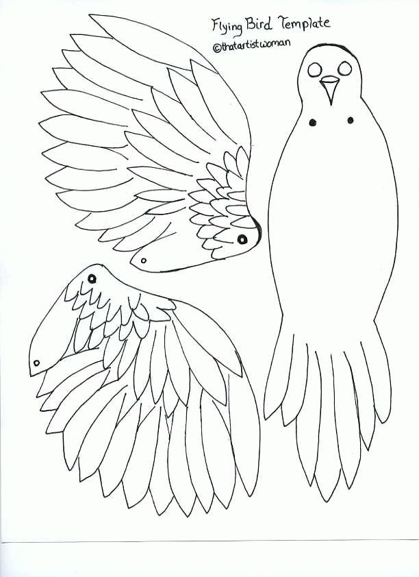 Download or print this amazing coloring page pin by kayla cange on birds on birds bird template paper animals paper birds