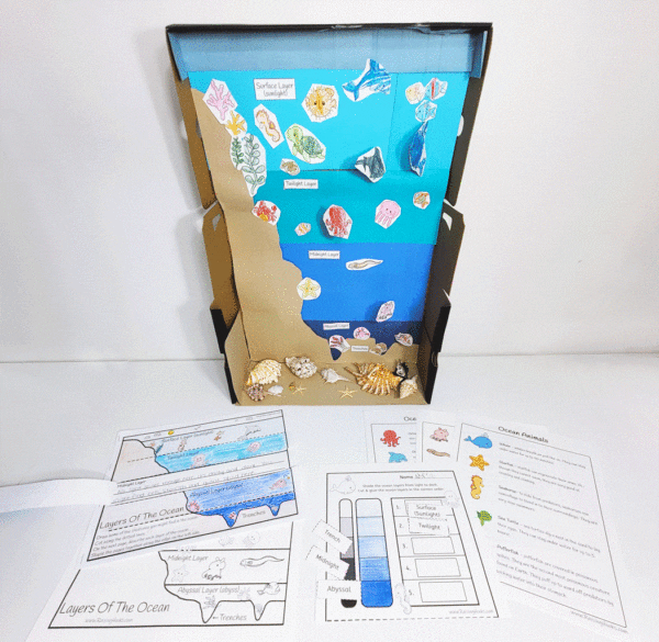 Ocean diorama