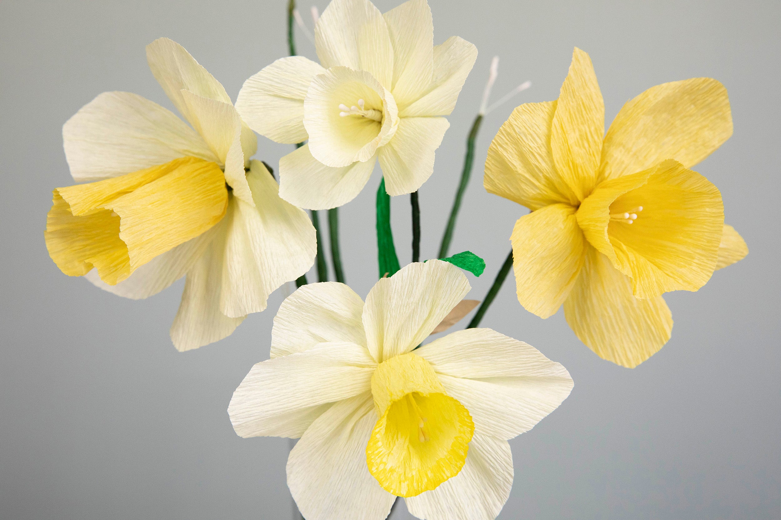 How to make paper daffodils â hester cook