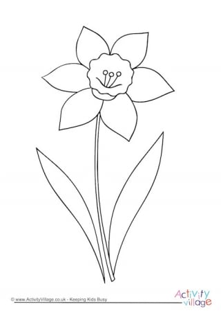 Daffodil louring pages