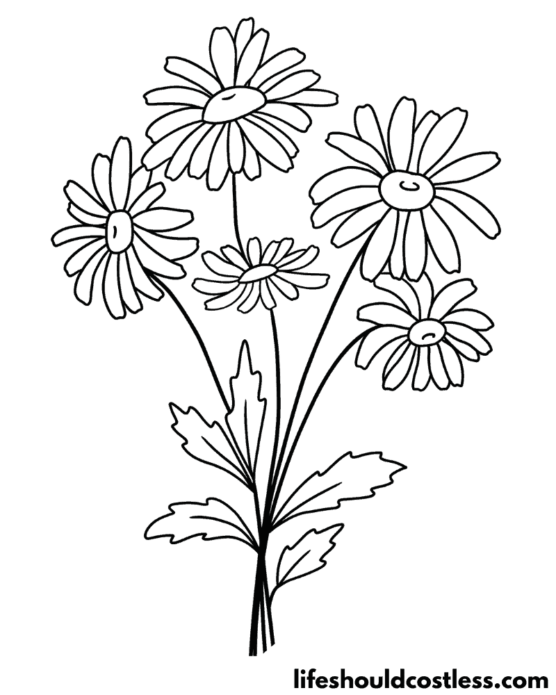 Daisy coloring pages free printable pdf templates