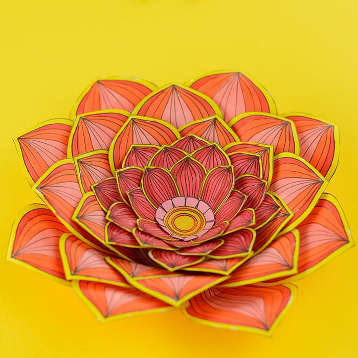 Paper craft flowers d coloring pages digital download of printable pdfs