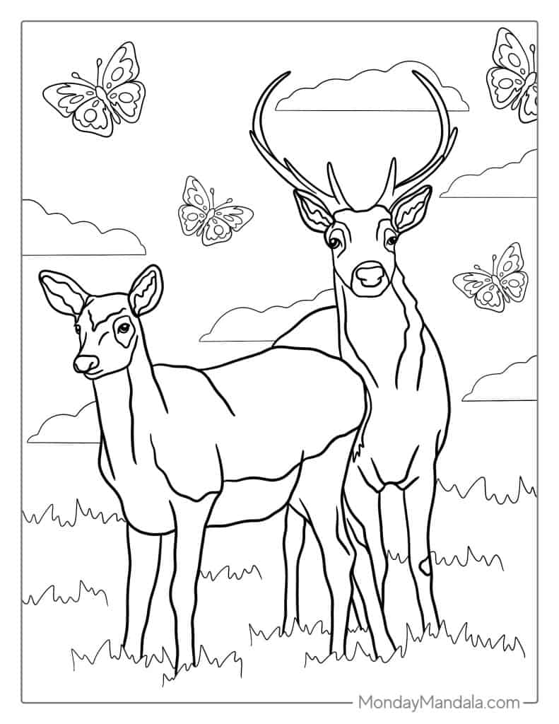 Deer coloring pages free pdf printables