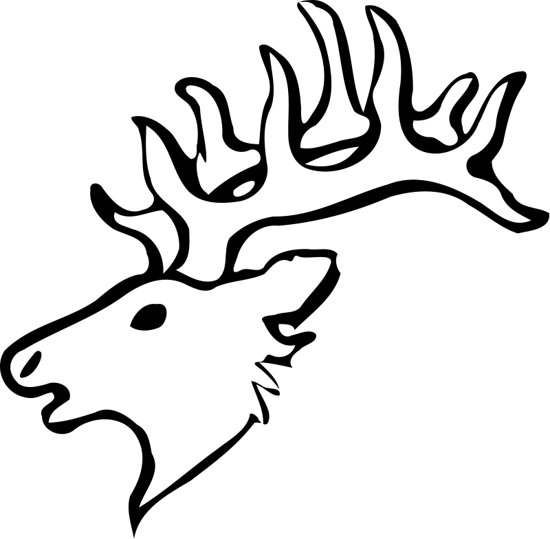 Deer coloring pages coloring pages to print deer coloring pages coloring pages deer