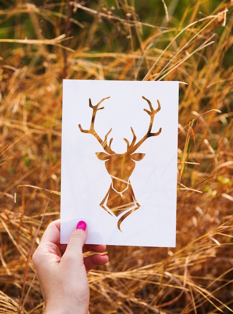 Deer head coloring page pictures