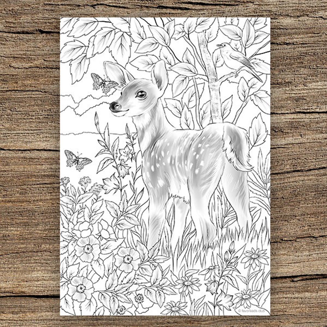 Baby deer printable adult coloring page from favoreads coloring book pages for adults and kids coloring sheets coloring designs