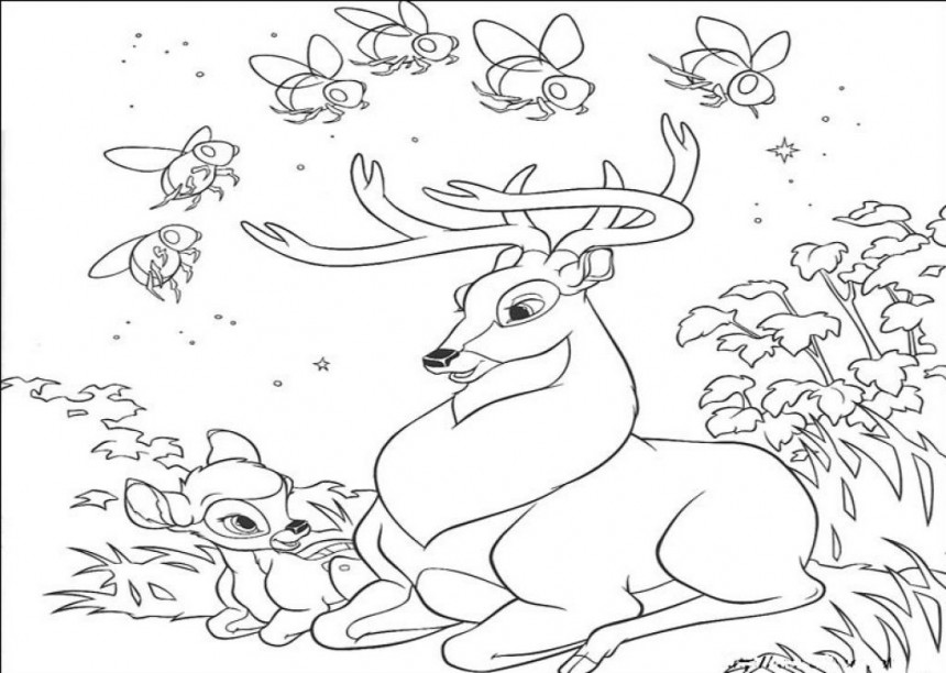 Free printable deer coloring pages for kids