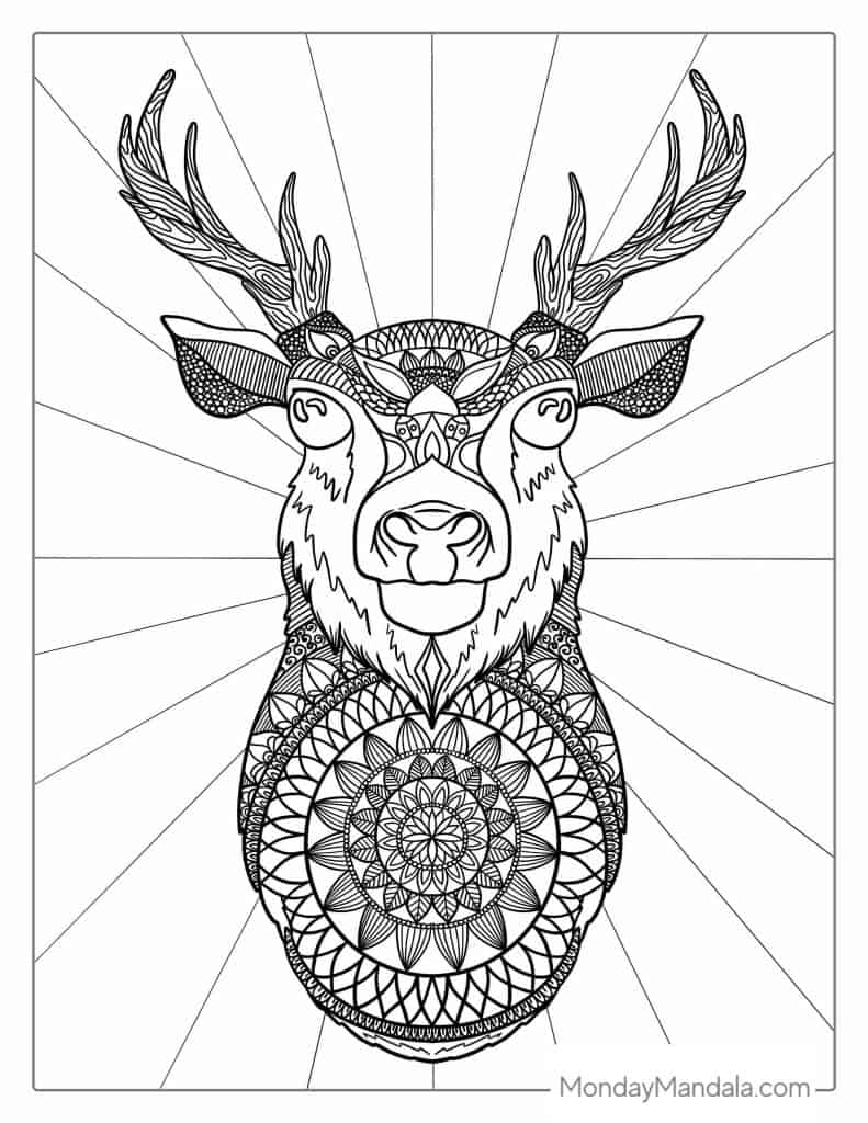 Deer coloring pages free pdf printables