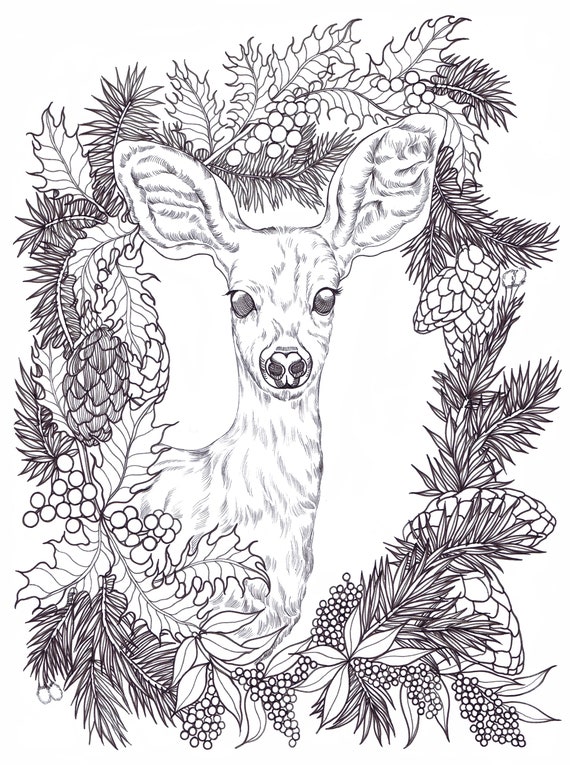 Happy holidays deer printable coloring pages from binna kim art animal drawing christmas coloring designs coloring