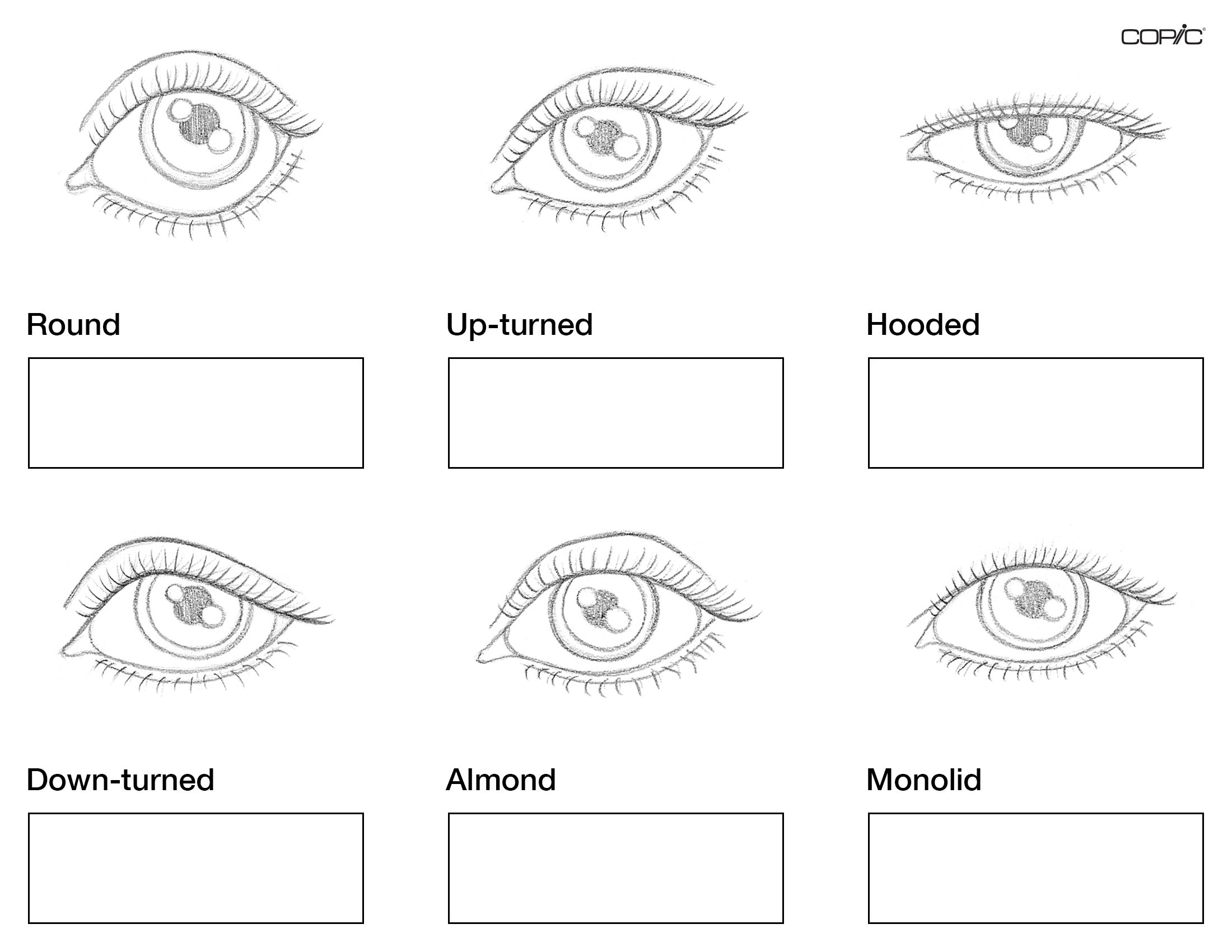 Browns how to color eyes