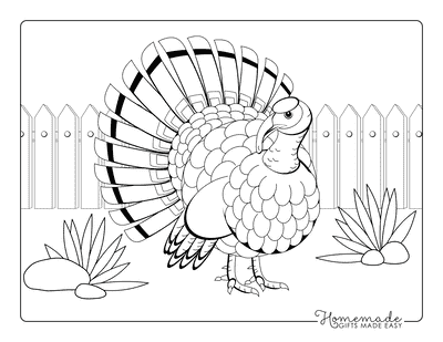Free printable turkey coloring pages for kids