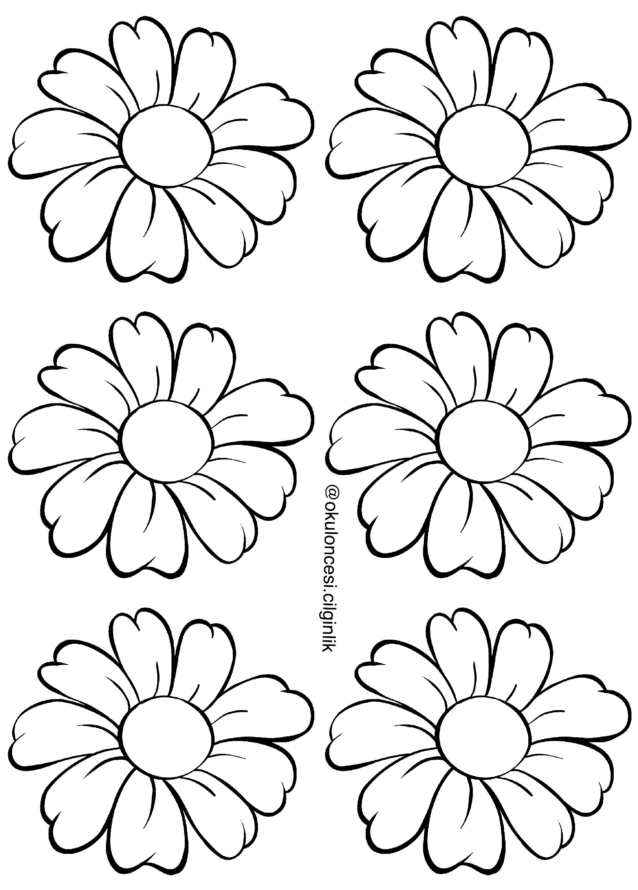 Pin by okuloncesicilginlik on ãiãekler flower coloring pages flower drawing paper flower patterns