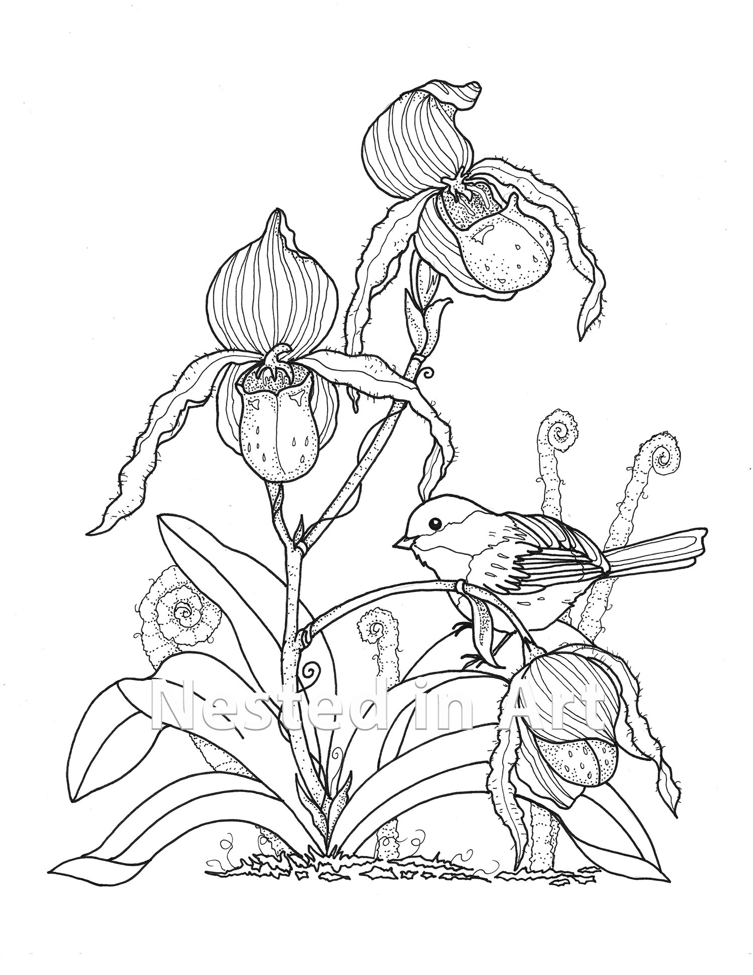 Adult coloring page bird and lady slipper orchids digital download punch needle pattern