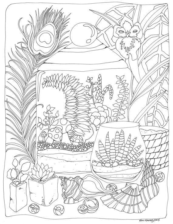 Terrarium succulent peacock feather orchid coloring page pdf