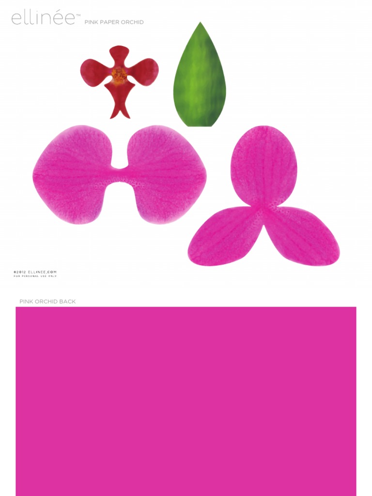 Pink paper orchid pdf