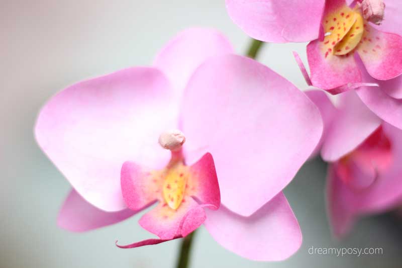 How to make orchid paper flower from printer paper free template