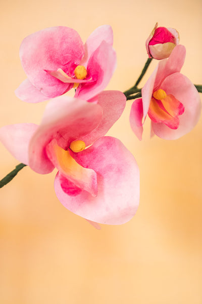 Paper orchids svg pdf template â the house that lars built