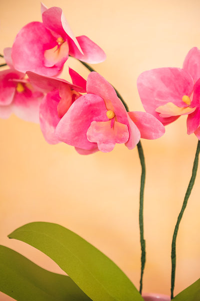 Paper orchids svg pdf template â the house that lars built