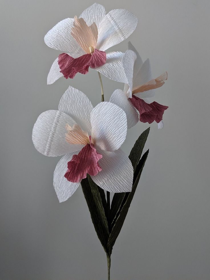 Downloadable crepe paper orchid templatepdf printable downloaddiy paper flower templatepaper orchid templatedendrobium orchid tutorial