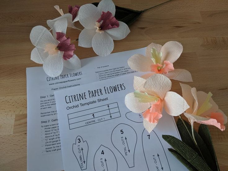 Downloadable crepe paper orchid templatepdf printable downloaddiy paper flower templatepaper orchid templatedendrobium orchid tutorial