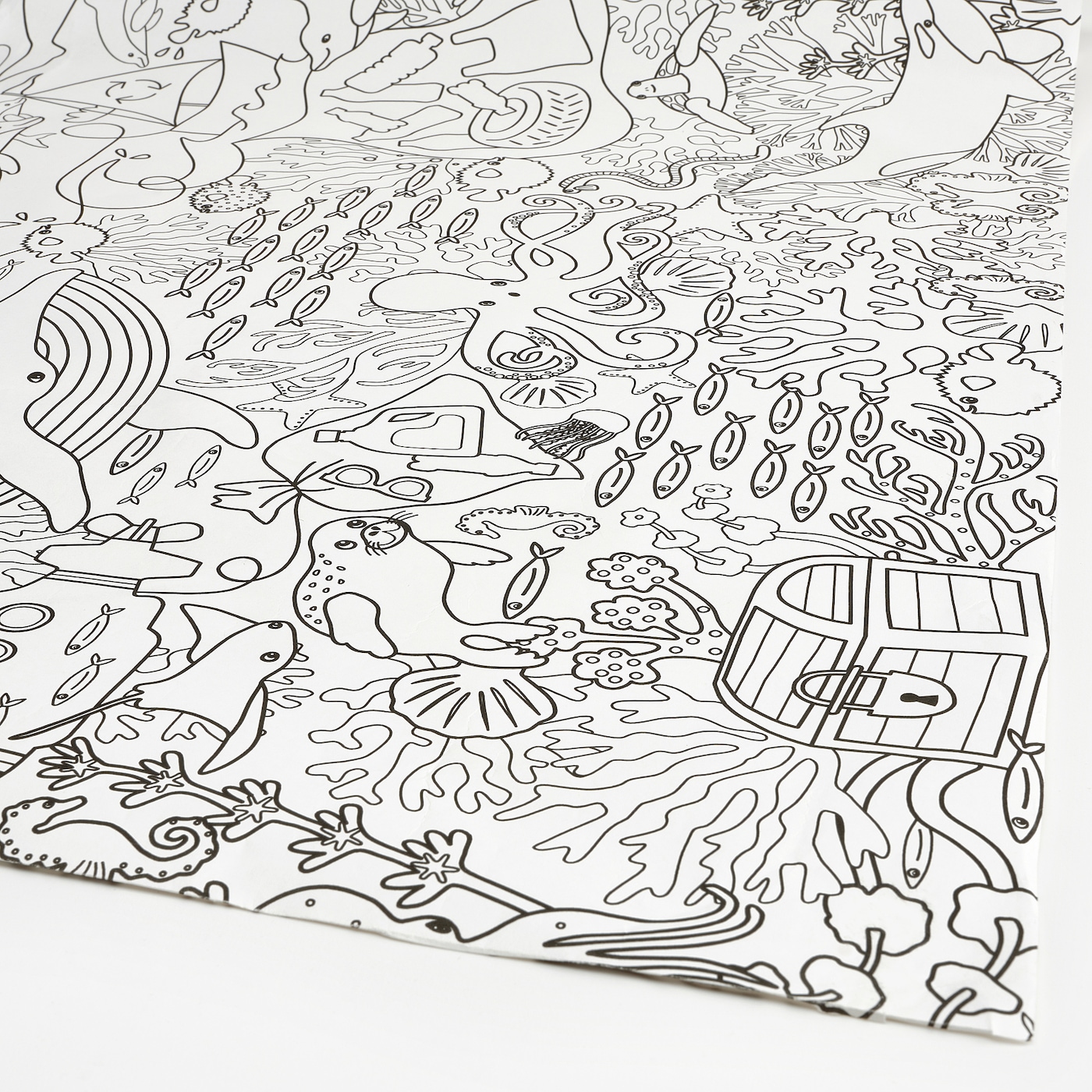 Blã vingad colouring paper roll m