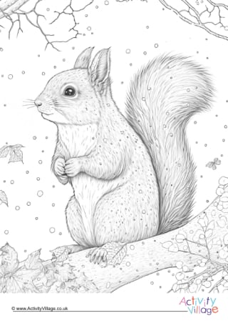 Squirrel louring pages