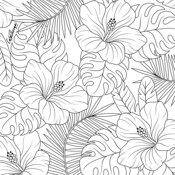 Tropical leaves pattern to color with color therapy httpwwwapplecomgte colortherapyapp flower drawing art drawings pattern art