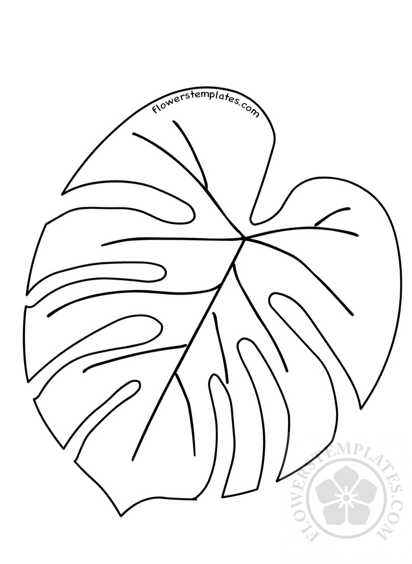 Tropical leaf coloring page