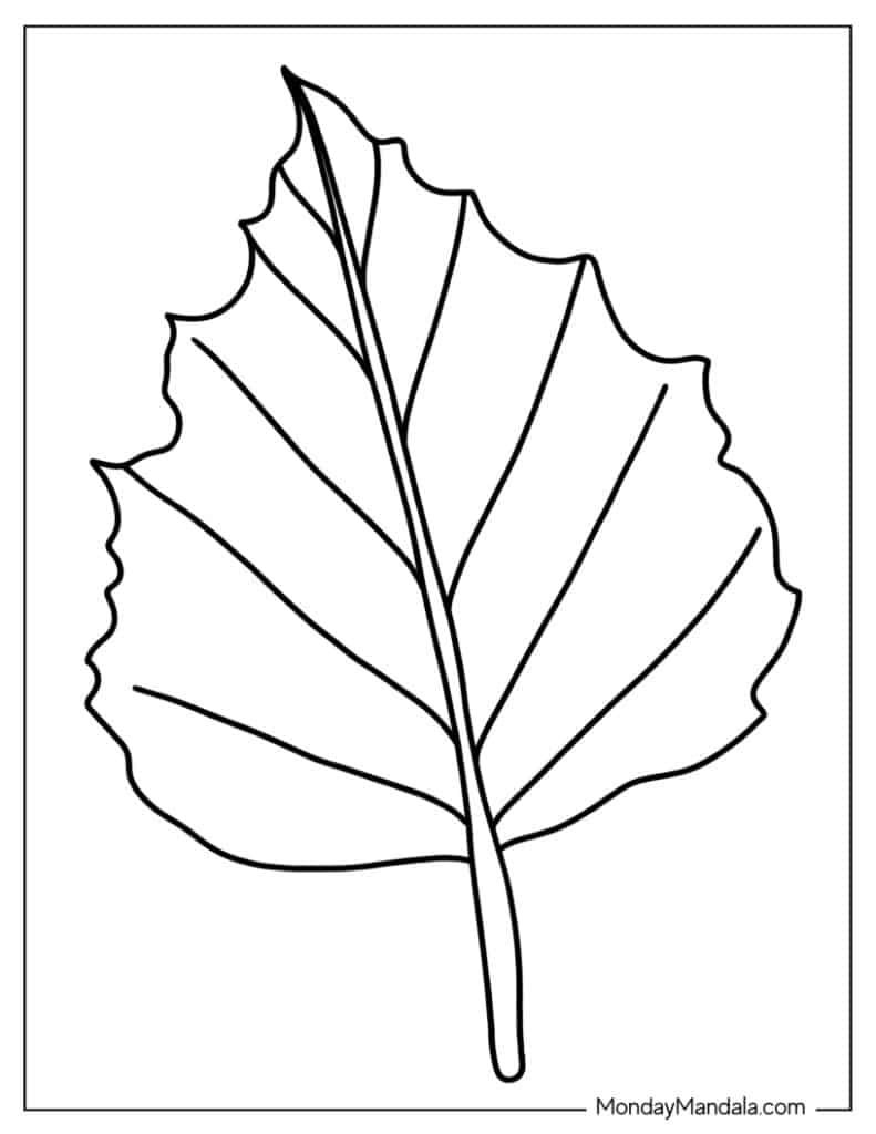 Leaf coloring pages free pdf printables