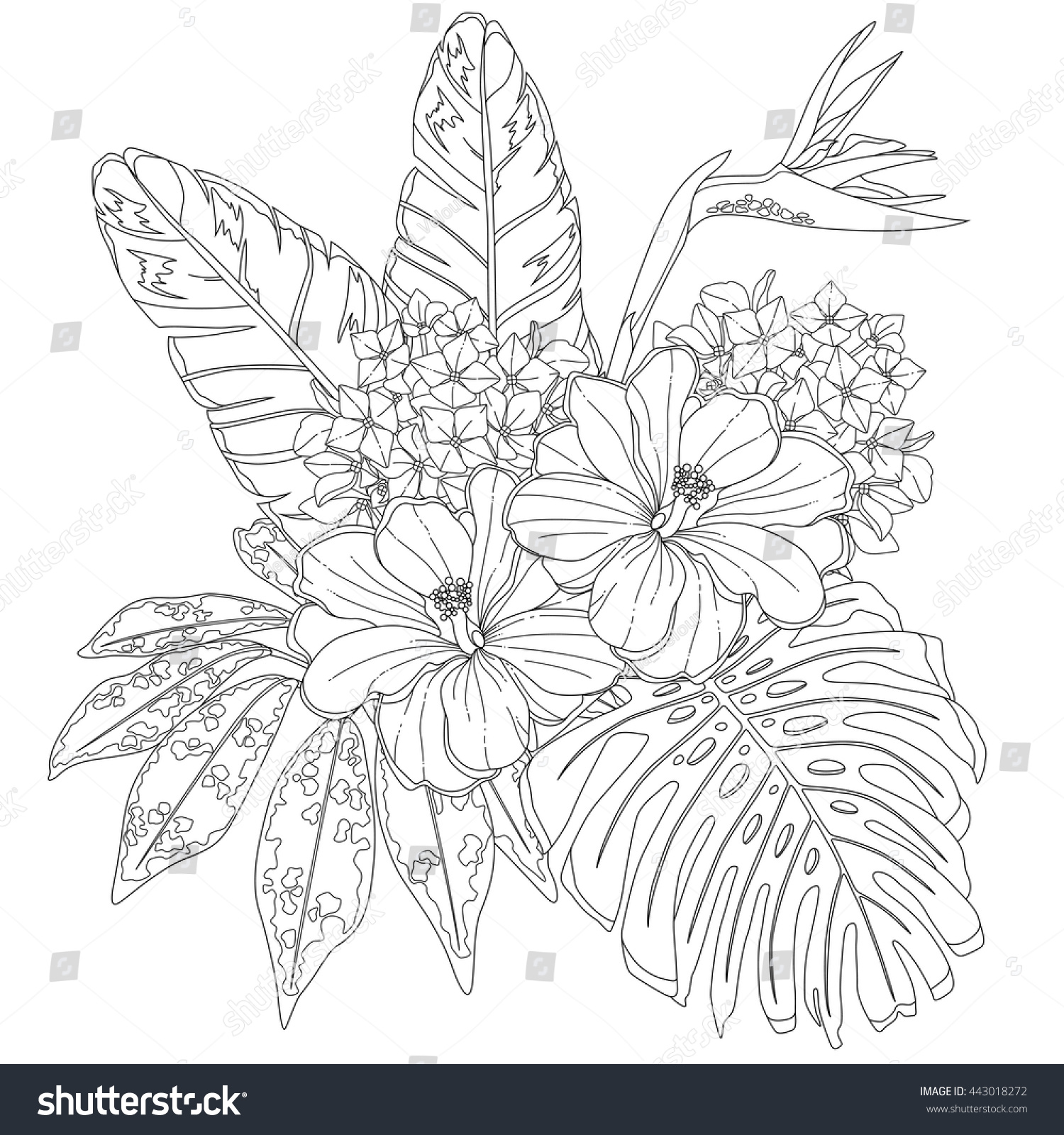 Tropical flowers leaves page coloring book stock vector royalty free