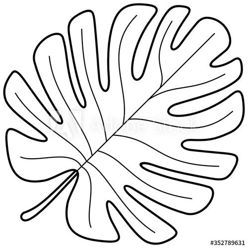 Tropical leaf ad tropical leaf basic sketching leaf template art nouveau flowers