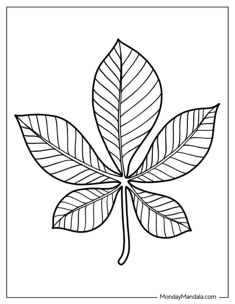 Leaf coloring pages free pdf printables
