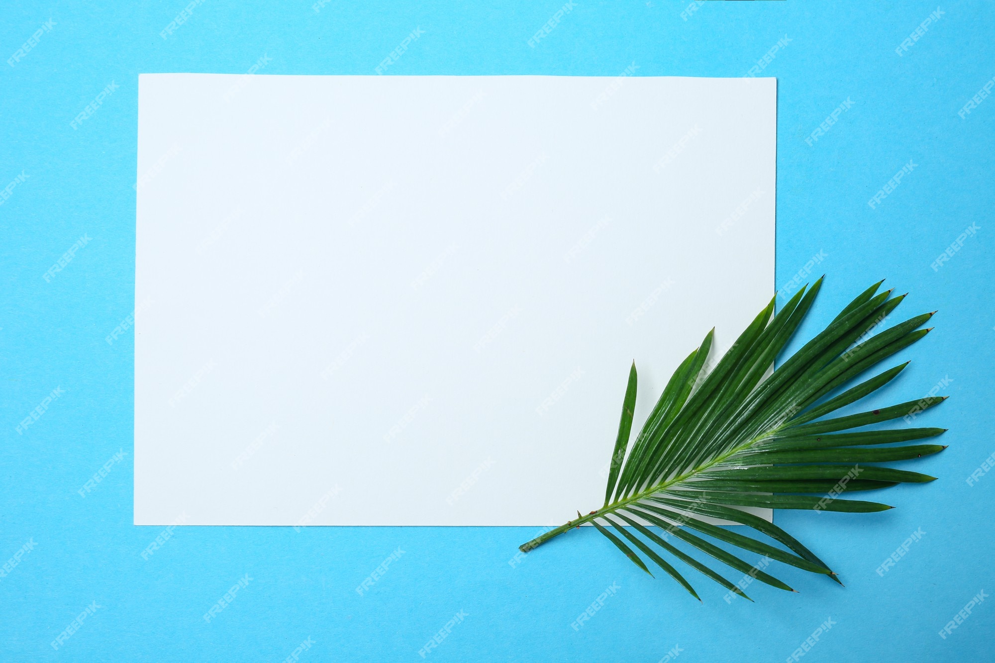Premium photo blank sheet of paper with tropical leaf on color background