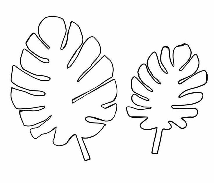 Leaves coloring pages to create botanical art