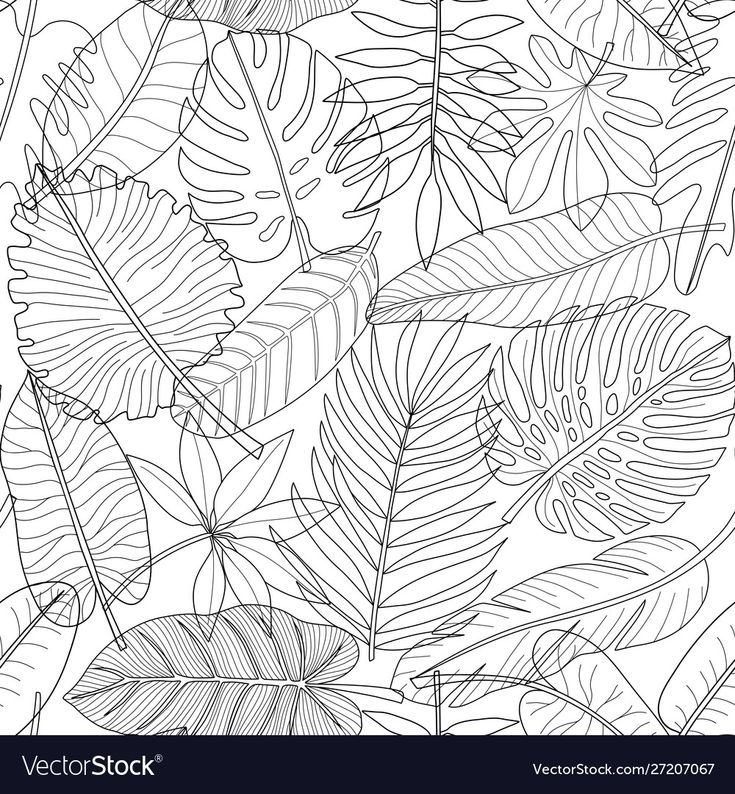 Leaves of tropical plants seamless pattern black and white outle colorg repeat background synadeniumâ leaf drawg tropical plants tropical leaves pattern