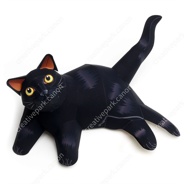 Black cat halloween