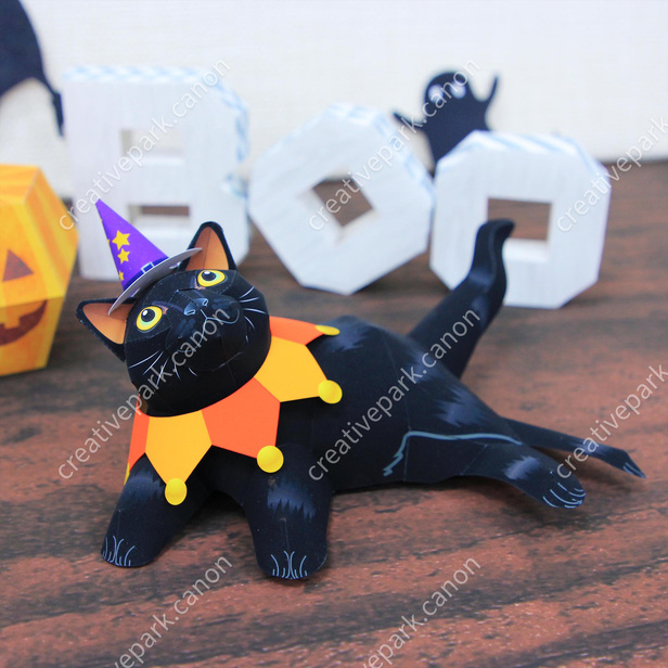 Black cat halloween