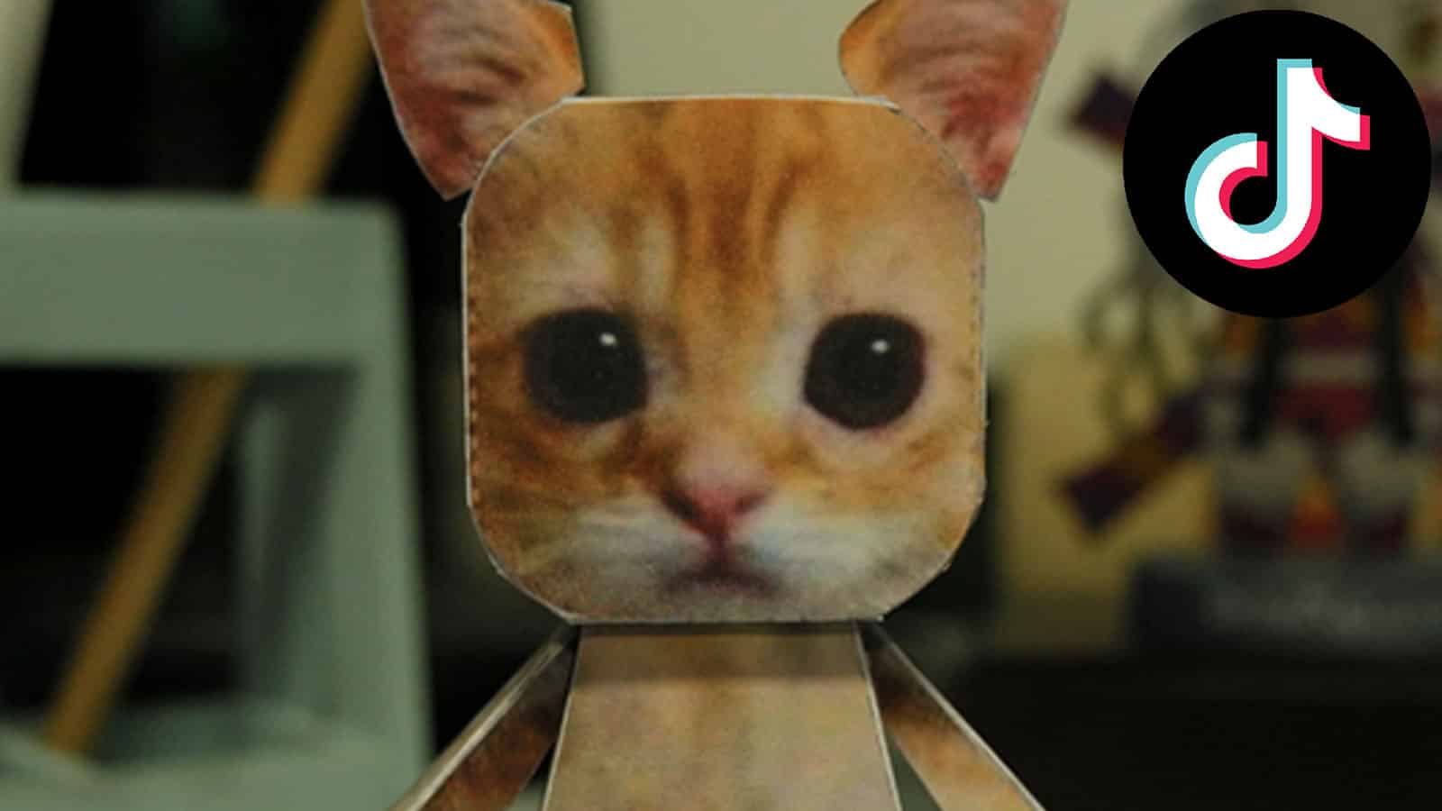 How to get tiktoks viral el gato cat printout