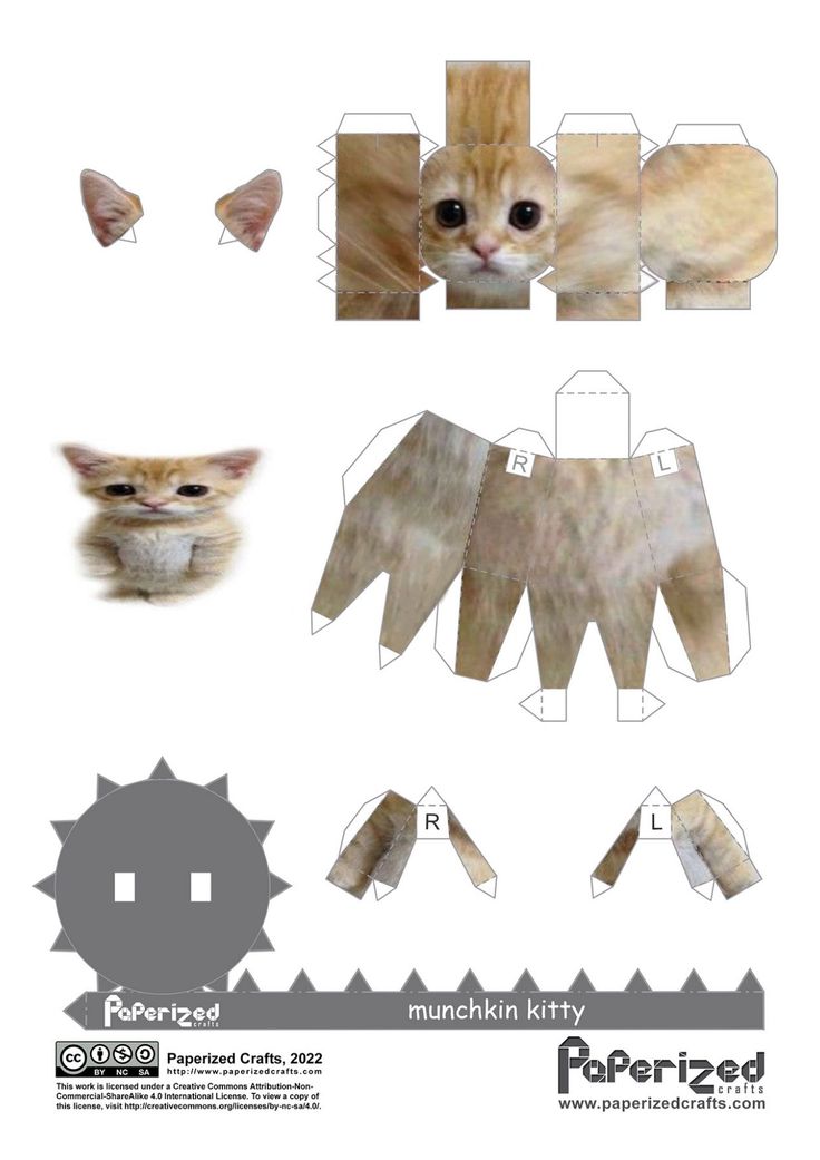 Munchkin kitty paperized plantillas de animales dibujitos sencillos arte de papel en d
