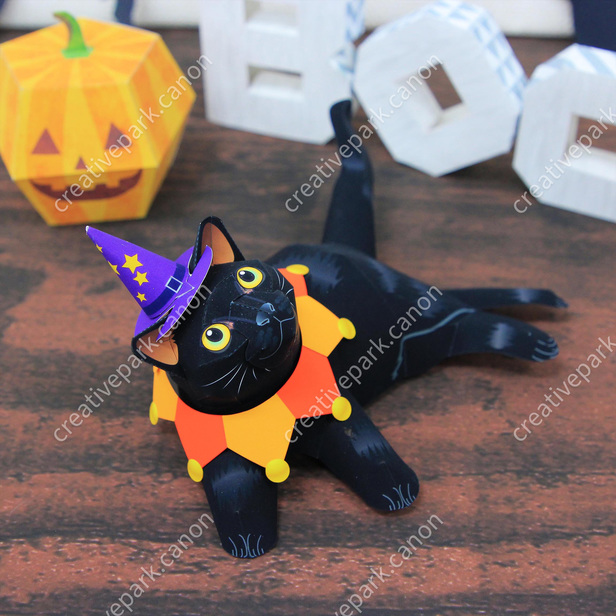 Black cat halloween