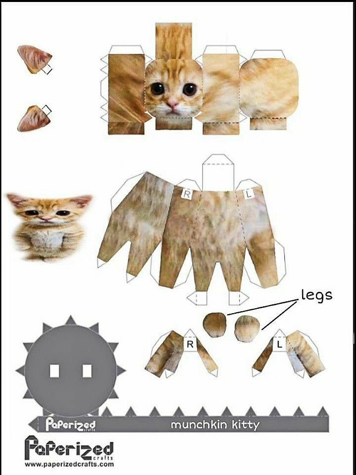 El gato paper doll template paper dolls hello kitty crafts