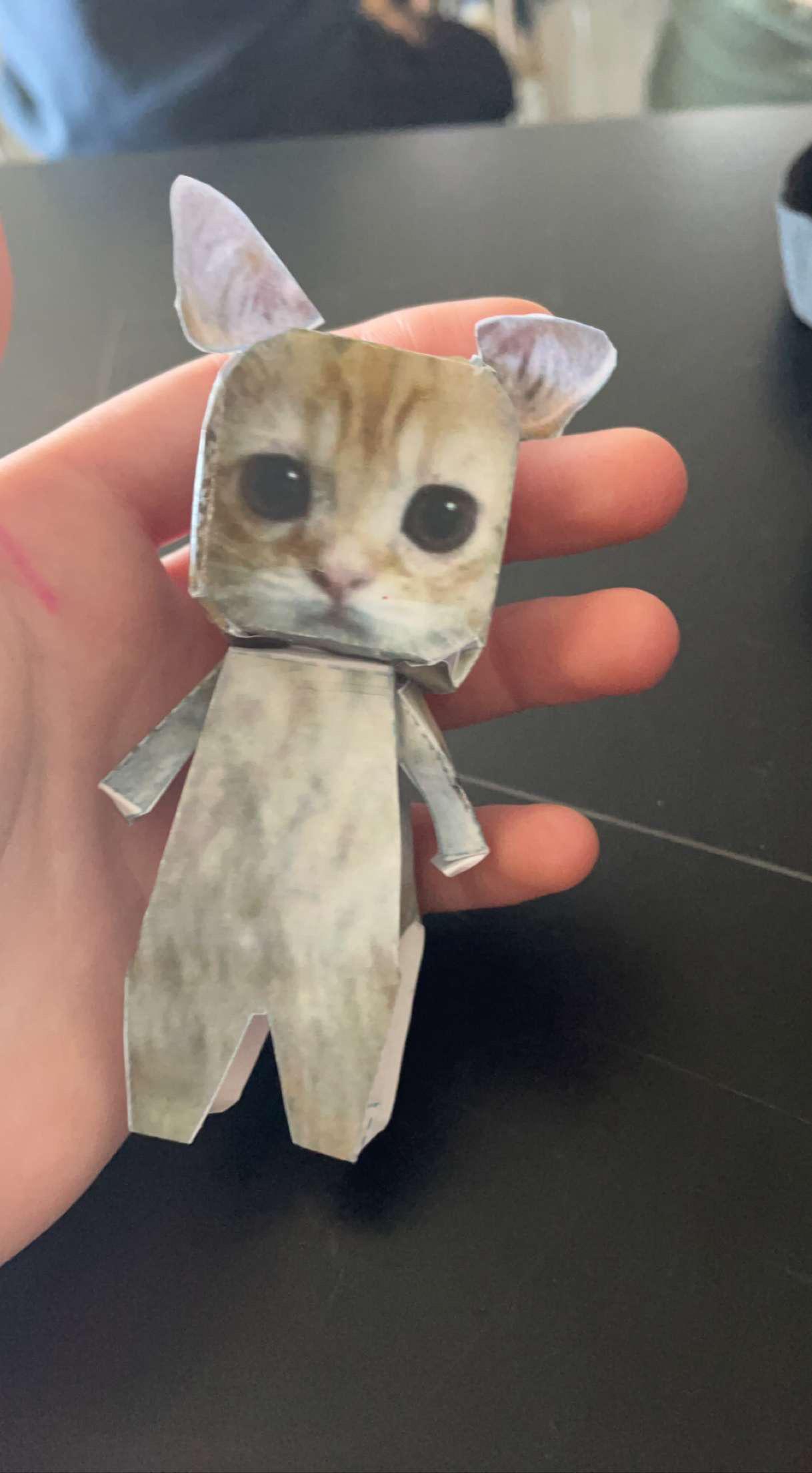 For anyone wanting to make the el gato cat cutout very cute and convenient to have a small friend around just print and cut out then glue rcats