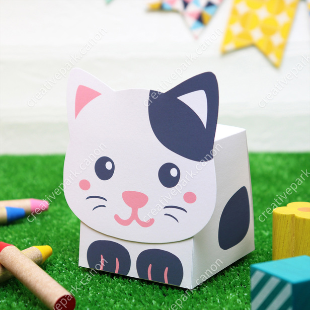 Box animal cat