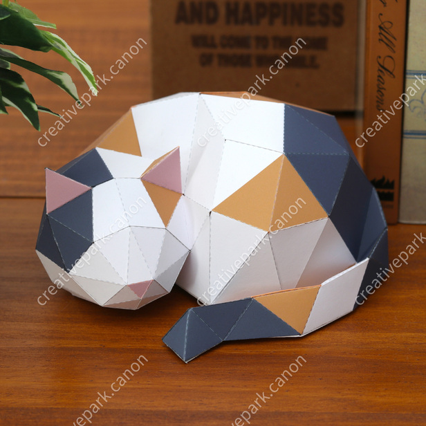 Polygon cat