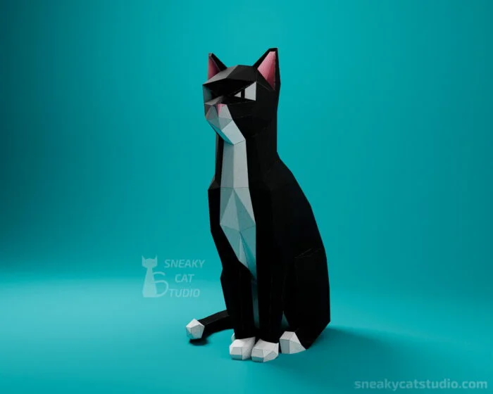 Harsh cat