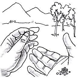 Mustard seed celebration publications bible coloring pages bible verse coloring sunday school crafts for kids