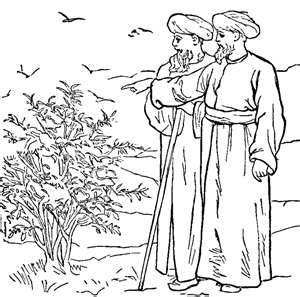 Parables about the mustard seed and yeast luke