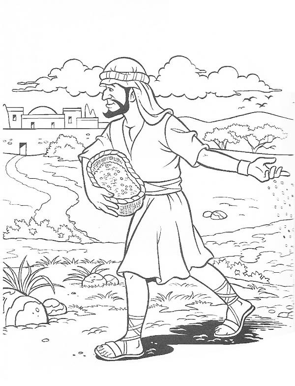 Pin en bible nt parable of sower