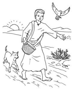 The sower