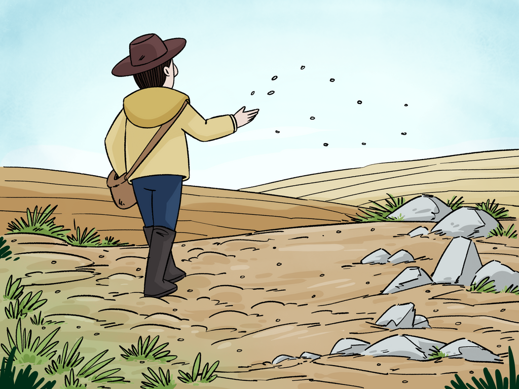 Parable of the sower coloring page
